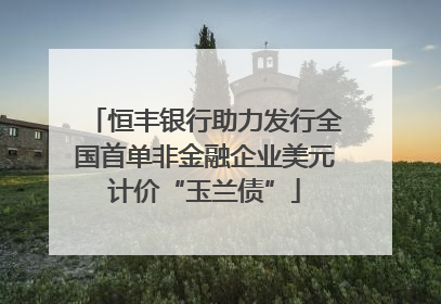 恒丰银行助力发行全国首单非金融企业美元计价“玉兰债”