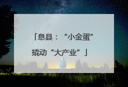 息县：“小金蛋”撬动“大产业”