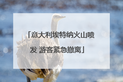 意大利埃特纳火山喷发 游客紧急撤离