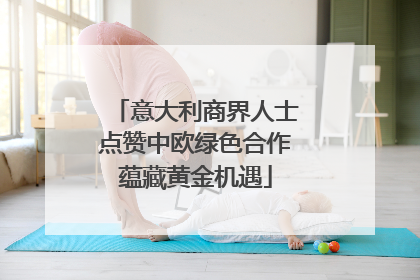意大利商界人士点赞中欧绿色合作蕴藏黄金机遇