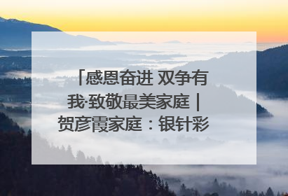 感恩奋进 双争有我·致敬最美家庭｜贺彦霞家庭：银针彩线绣出好日子