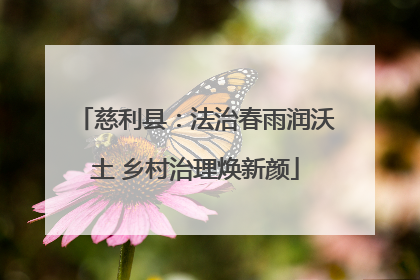慈利县：法治春雨润沃土 乡村治理焕新颜