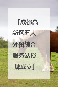 成都高新区五大外贸综合服务站授牌成立