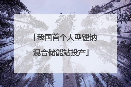 我国首个大型锂钠混合储能站投产