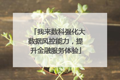 我来数科强化大数据风控能力，提升金融服务体验