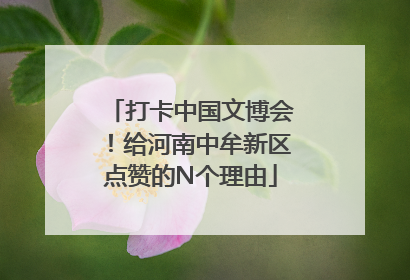 打卡中国文博会！给河南中牟新区点赞的N个理由