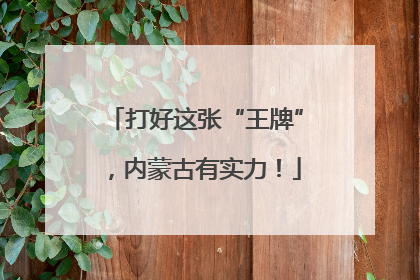 打好这张“王牌”，内蒙古有实力！