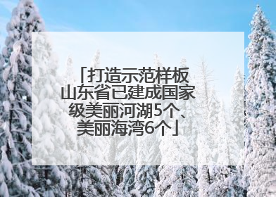 打造示范样板 山东省已建成国家级美丽河湖5个、美丽海湾6个
