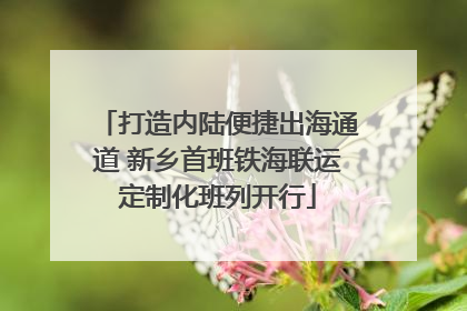 打造内陆便捷出海通道 新乡首班铁海联运定制化班列开行