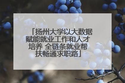 扬州大学以大数据赋能就业工作和人才培养 全链条就业帮扶畅通求职路