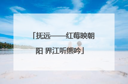 抚远——红莓映朝阳 界江听熊吟