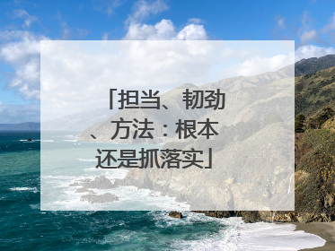 担当、韧劲、方法：根本还是抓落实
