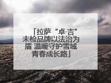 拉萨“卓·吉”未检品牌以法治为盾 温暖守护雪域青春成长路