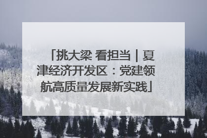 挑大梁 看担当｜夏津经济开发区：党建领航高质量发展新实践