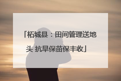 柘城县：田间管理送地头 抗旱保苗保丰收