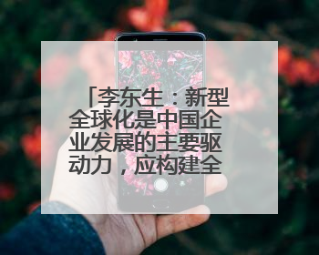 李东生：新型全球化是中国企业发展的主要驱动力，应构建全球经营和供应链体系