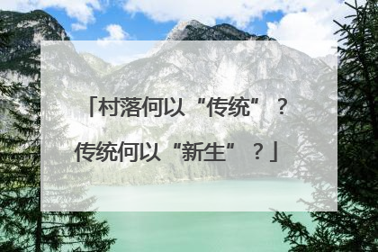 村落何以“传统”？传统何以“新生”？