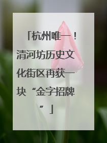 杭州唯一！清河坊历史文化街区再获一块“金字招牌”