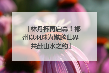 林丹杯再启幕！郴州以羽球为媒邀世界共赴山水之约