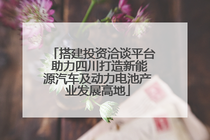 搭建投资洽谈平台 助力四川打造新能源汽车及动力电池产业发展高地