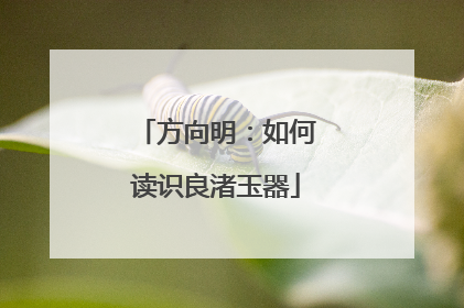 方向明：如何读识良渚玉器