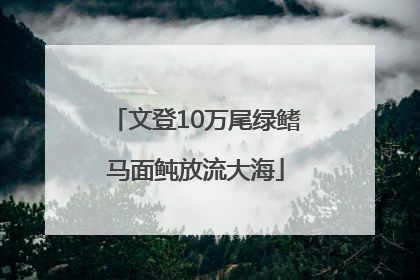 文登10万尾绿鳍马面鲀放流大海