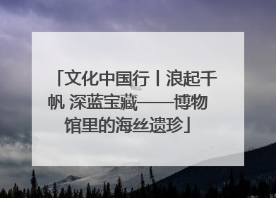 文化中国行丨浪起千帆 深蓝宝藏——博物馆里的海丝遗珍