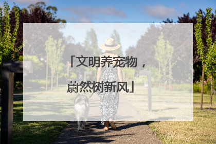文明养宠物，蔚然树新风