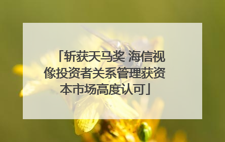 斩获天马奖 海信视像投资者关系管理获资本市场高度认可
