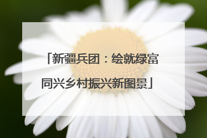 新疆兵团：绘就绿富同兴乡村振兴新图景