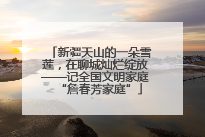 新疆天山的一朵雪莲，在聊城灿烂绽放——记全国文明家庭“詹春芳家庭”