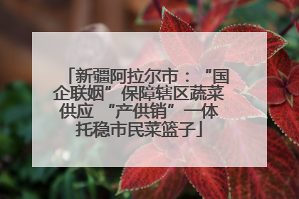 新疆阿拉尔市：“国企联姻”保障辖区蔬菜供应 “产供销”一体托稳市民菜篮子