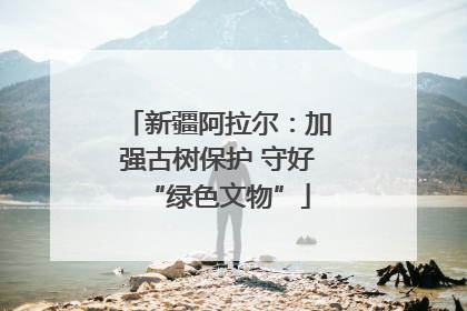 新疆阿拉尔：加强古树保护 守好“绿色文物”