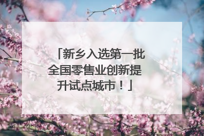 新乡入选第一批全国零售业创新提升试点城市！