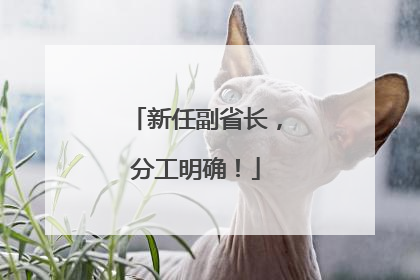 新任副省长，分工明确！