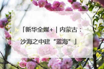 新华全媒+｜内蒙古：沙海之中建“蓝海”