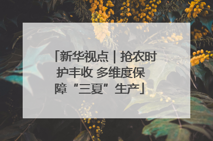 新华视点｜抢农时 护丰收 多维度保障“三夏”生产