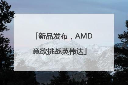 新品发布，AMD意欲挑战英伟达