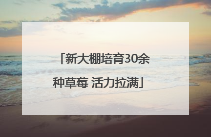 新大棚培育30余种草莓 活力拉满