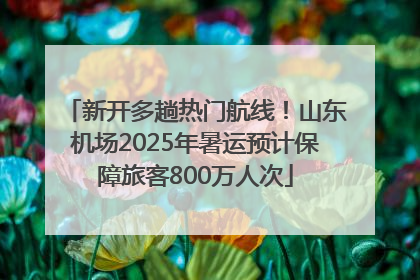 新开多趟热门航线！山东机场2025年暑运预计保障旅客800万人次