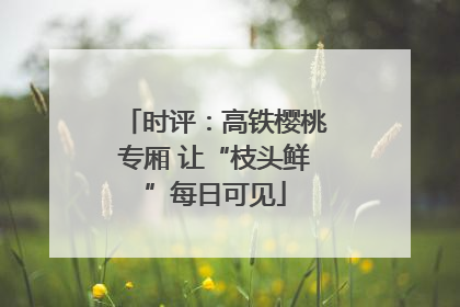 时评：高铁樱桃专厢 让“枝头鲜”每日可见