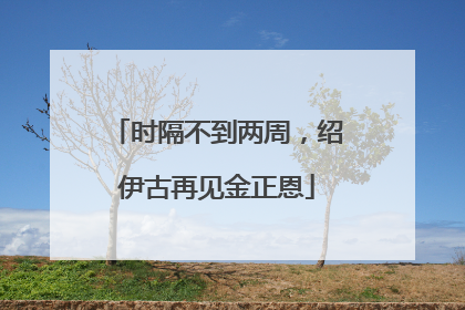 时隔不到两周，绍伊古再见金正恩