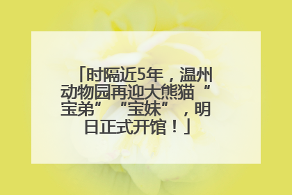 时隔近5年，温州动物园再迎大熊猫“宝弟”“宝妹”，明日正式开馆！