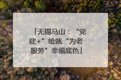 无锡马山：“党建+”绘就“为老服务”幸福底色