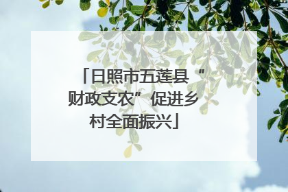 日照市五莲县“财政支农”促进乡村全面振兴