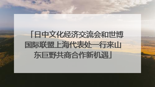 日中文化经济交流会和世博国际联盟上海代表处一行来山东巨野共商合作新机遇