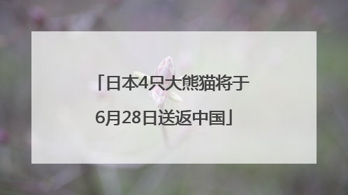 日本4只大熊猫将于6月28日送返中国