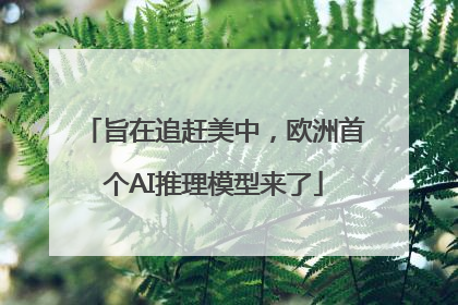 旨在追赶美中，欧洲首个AI推理模型来了
