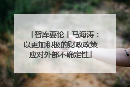 智库要论丨马海涛：以更加积极的财政政策应对外部不确定性
