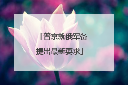 普京就俄军备提出最新要求